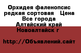 Орхидея фаленопсис редкая сортовая › Цена ­ 800 - Все города  »    . Алтайский край,Новоалтайск г.